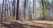 0 Mountain Creek Hollow Drive Talking Rock, GA 30175 - Image 8340095