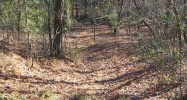 1 Soap Creek Road Ball Ground, GA 30107 - Image 8522146