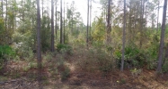 Lot 21 Buster Phillips Ludowici, GA 31316 - Image 8594496