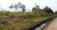 2.5 Acres Archer Road NE Ludowici, GA 31316 - Image 8594501