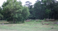 1.23 AC HWY 301 Ludowici, GA 31316 - Image 8594506