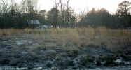 Lot 25 Cutters Gap Rd Ludowici, GA 31316 - Image 8594503