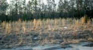 Lot 20 Cutters Gap Ludowici, GA 31316 - Image 8594504