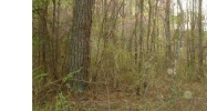 398 N Mud Creek Road Temple, GA 30179 - Image 8649276