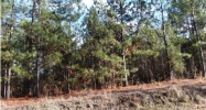 0 River Rd Titus, AL 36080 - Image 8649513