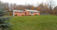 375 Pleasant Valley Rd Starrucca, PA 18462 - Image 8651278