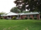 186 Burbank Rd Roan Mountain, TN 37687 - Image 8713975