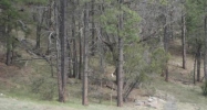 4C E. Running Elk Rd. Payson, AZ 85541 - Image 8786772