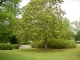 3324 ELAMVILLE STREET Clio, AL 36017 - Image 8874540