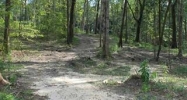 21 Acres Tarpin Circle Chancellor, AL 36316 - Image 8925666