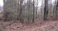 0 Lakeview Drive #52 Alpine, AL 35014 - Image 8945811