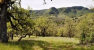 0 Hensley Creek Rd Ukiah, CA 95482 - Image 9010772