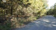 Lot 58 Dry Run Road Oakland, AR 72661 - Image 9033069