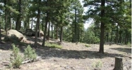 23953 Peak Drive Conifer, CO 80433 - Image 9039490