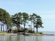 758 Horseshoe Bend Road Deltaville, VA 23043 - Image 9045869