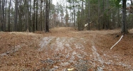 0 Flat Rock Road Stockbridge, GA 30281 - Image 9090068