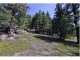 30271 Kings Valley East Conifer, CO 80433 - Image 9148251