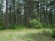 1725 Wild Timber Court Franktown, CO 80116 - Image 9149911