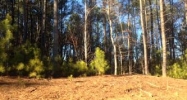 Lot 53 Harbor Oaks Apn# 86808 Denver, NC 28037 - Image 9209988