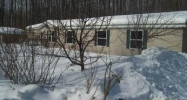 12374 Deer Trail Wolverine, MI 49799 - Image 9213860