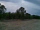 Lot 1- 5 Daisy Rd Apn# 0720002201 Loris, SC 29569 - Image 9273832