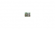 3319 Poplar Ridge Dr Rex, GA 30273 - Image 9288759