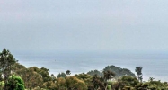 11 North Stonington Laguna Beach, CA 92651 - Image 9323954