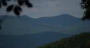 49 Utana Bluffs Trail Ellijay, GA 30540 - Image 9324180