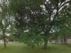 Allen St Firth, NE 68358 - Image 9344338