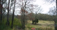 0 hwy 47 Blountsville, AL 35031 - Image 9365889