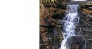 7024 Monument Falls Jasper, GA 30143 - Image 9370393