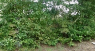 120 Old Trace Road Powder Springs, GA 30127 - Image 9383217