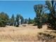 4720 Railroad Flat Mountain Ranch, CA 95246 - Image 9388414