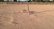 2937 W 2 PL Yuma, AZ 85364 - Image 9423841