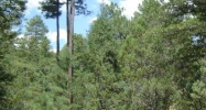 Lot 90 Tonto Creek Estates Payson, AZ 85541 - Image 9454966