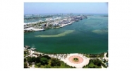 50 BISCAYNE BL # 5404 Miami, FL 33131 - Image 9482612