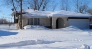 23054 Lakeshore Dr Richton Park, IL 60471 - Image 9520461