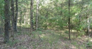 20 acres Off Hwy 164 Hagarville, AR 72839 - Image 9574065