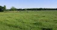 803 Peace Valley Road Ash Flat, AR 72513 - Image 9596769