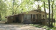 28 Shady Lane Ash Flat, AR 72513 - Image 9596762