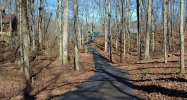 7065 Shadow Lane Cumming, GA 30041 - Image 9661772