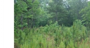 0 Cain Creek Overlook Ball Ground, GA 30107 - Image 9780339