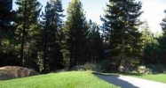 214 Starwood Drive Mammoth Lakes, CA 93546 - Image 9785962