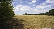 4370 Rs County Road 4370 Emory, TX 75440 - Image 9814047