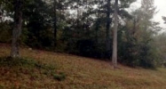 Lot 27 Waterford Place Nicholson, GA 30565 - Image 9815475