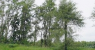 1408 Savannah Ln Lot 15 Woodstock, IL 60098 - Image 9893665