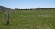 Lot 3 Rbcr 71 Meeker, CO 81641 - Image 9895206