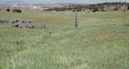 Lot 4 Rbcr 71 Meeker, CO 81641 - Image 9895207