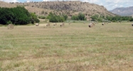 Lot 7 Rbcr 71 Meeker, CO 81641 - Image 9895210