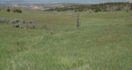 Lot 2 Rbcr 71 Meeker, CO 81641 - Image 9895212